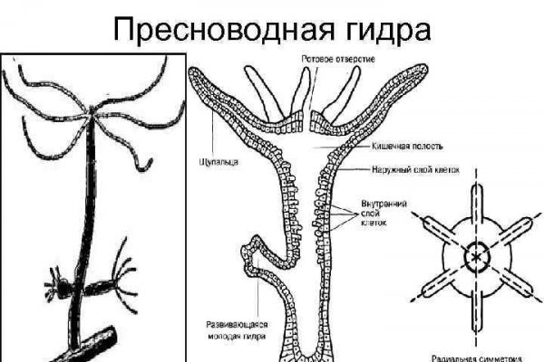 Ссылки на дарк нет